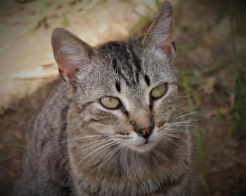Simon Bild von Simon