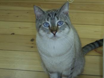 Sid Bild von Clarence