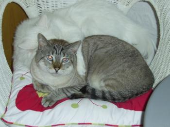 Sid Bild von Clarence