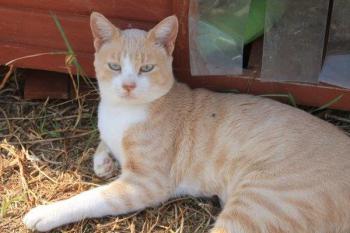Bastiane Bild von Bastiane