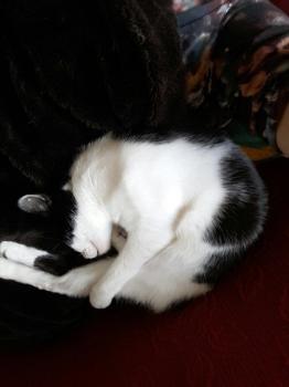 Pablo Bild von Pablo