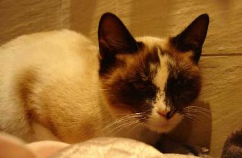 sarah Bild von Sarah