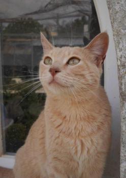 Mabelle Bild von Mabelle