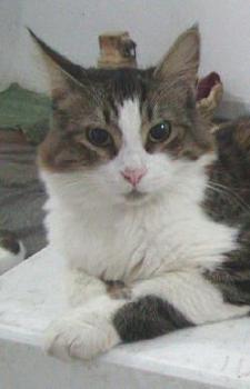 Bruno Bild von Bruno