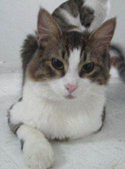 Bruno Bild von Bruno