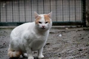 Magnus Bild von Magnus