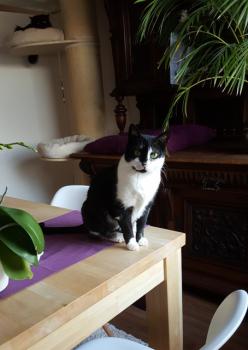 Bild von Jina