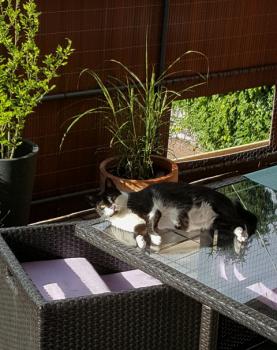Bild von Jina