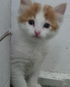 Ceaser als Baby Bild von Ceaser