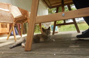 Grey Bild von Grey
