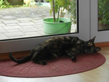 Taya Bild von Taya