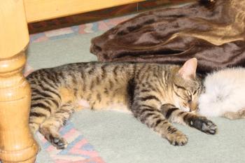Max Bild von Max