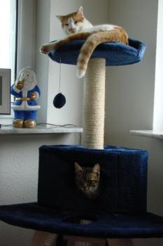 Max Bild von Max