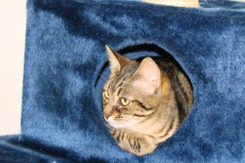 Max Bild von Max
