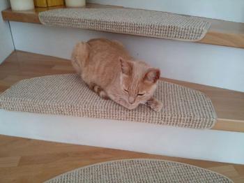 Mabelle Bild von Mabelle