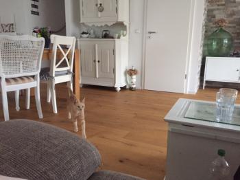 Mabelle Bild von Mabelle