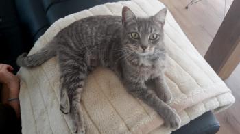 Bild von Bibi