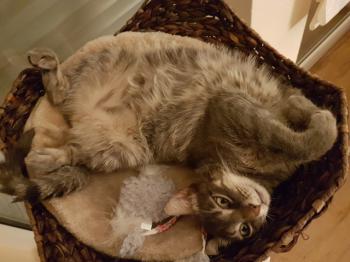 Bild von Bibi
