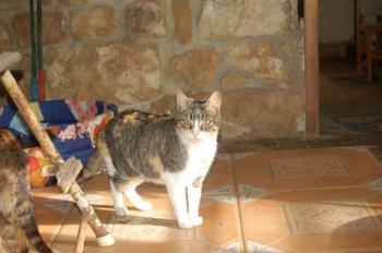 Nora Bild von Nora