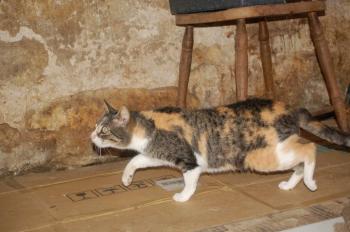 Nora Bild von Nora