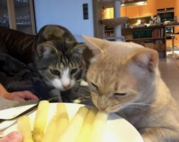 Bild von Phan