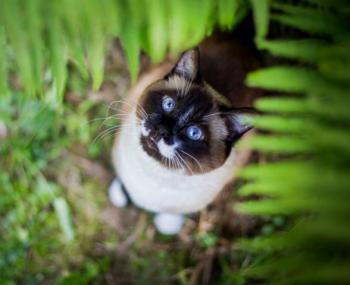 Nora Bild von Nora