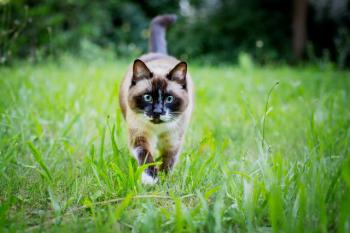 Nora Bild von Nora