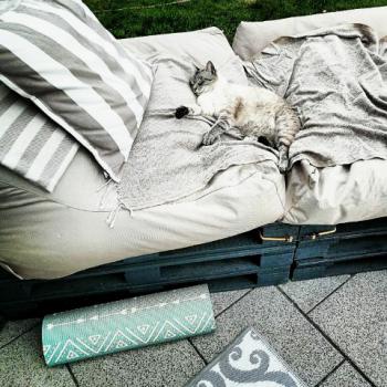 Bild von Nino
