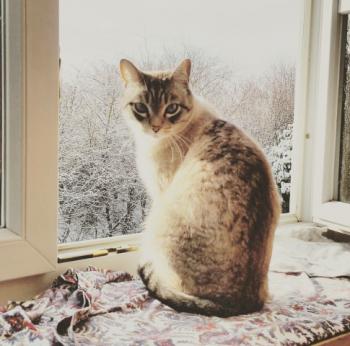 Bild von Nino