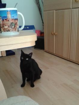 Vicky Bild von Vicky