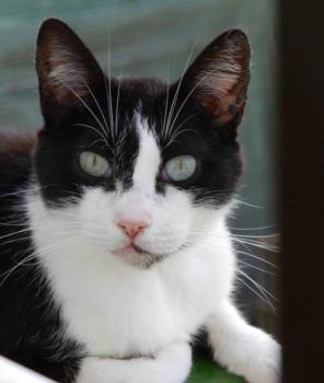 Fritzi Bild von Fritzi
