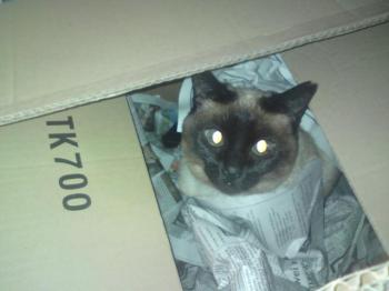 Mila Bild von Mila