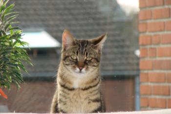 Max Bild von Max