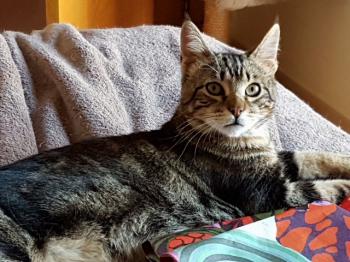 Bild von Milu