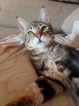 Bild von Milu