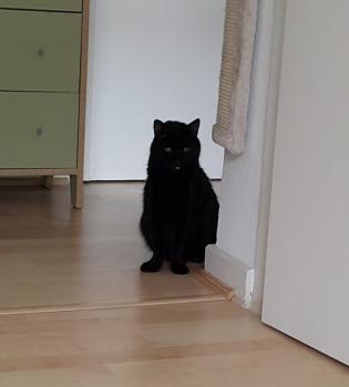 Coco Bild von Coco