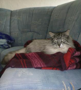 Bild von Madison