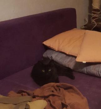 Vicky Bild von Vicky