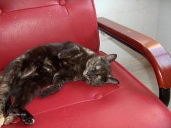 Loony Bild von Loony