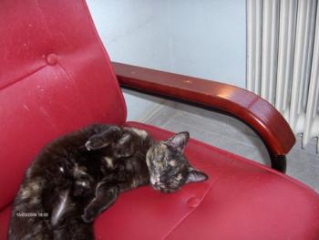 Loony Bild von Loony