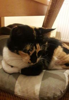 Bild von Irina