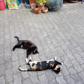 Bild von Flo