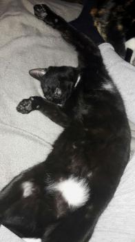 Bild von Flo