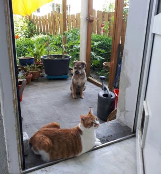 Quini Bild von Quini
