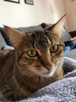 Yuki Bild von Yuki