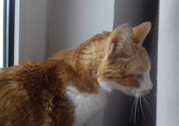 Rubi Bild von Rubi