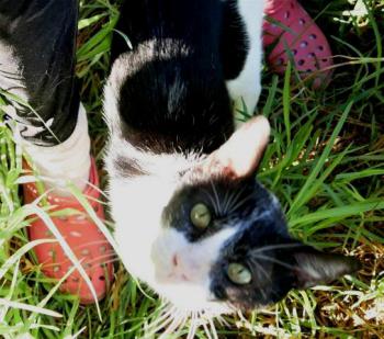 Derek Bild von Derek