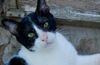 Derek Bild von Derek