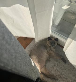 Sammy Bild von Sammy