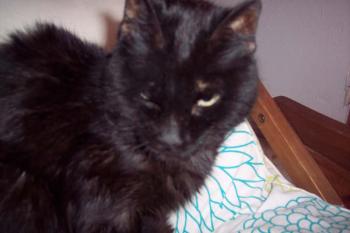 Paco Bild von Paco
